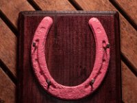 pinkandsquare : horse shoes